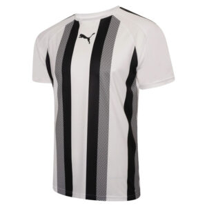 Puma Team LIGA Striped Jersey Football Jersey Top