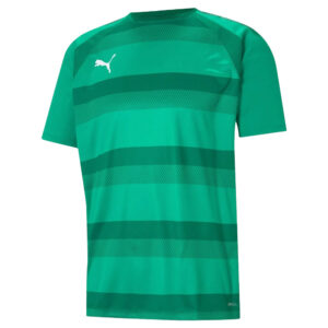 Puma Team VISION Jersey Football Jersey Top